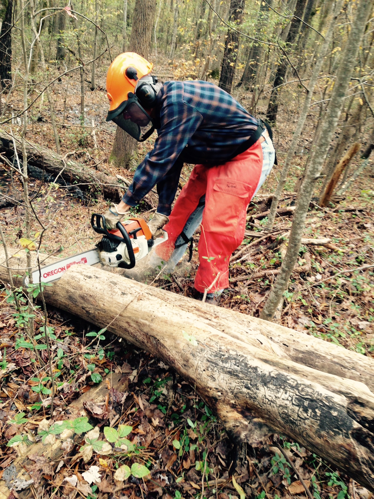 Chain saw work on Eagle Spur trail